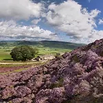Feriehus Moor Tops By Birch Broughton (North Yorkshire)