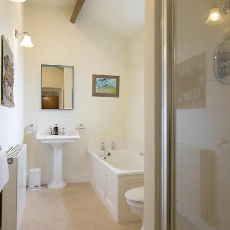 Moor Tops By Birch *